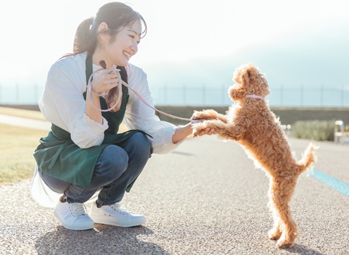 ワンちゃんと見つめあうペットシッター
