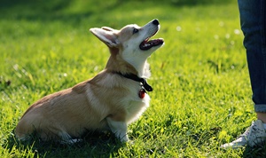 コースのイメージ